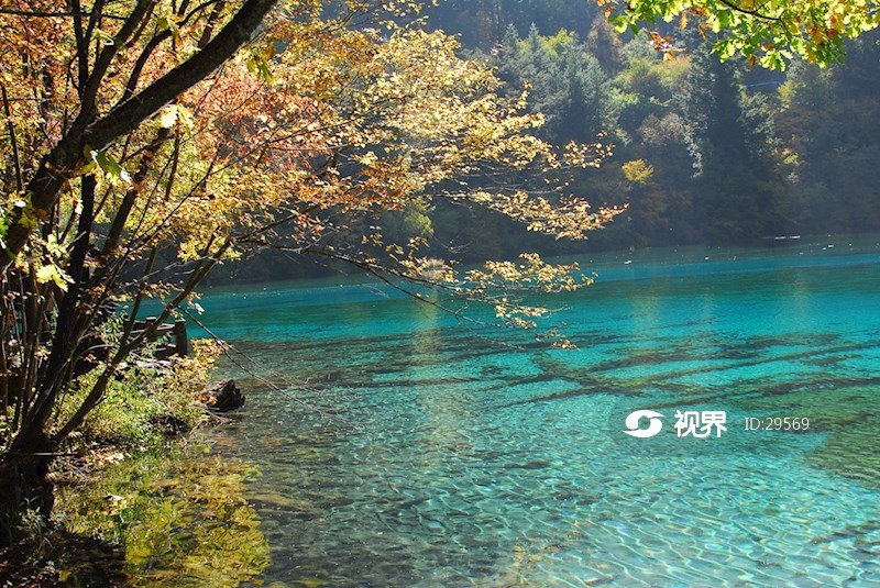 九寨沟五花海 图片 | 轩视界