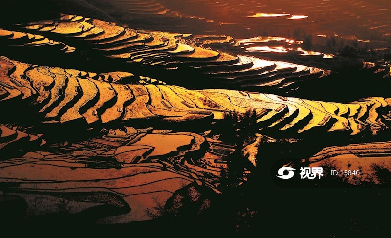 宜宾高坎梯田 图片