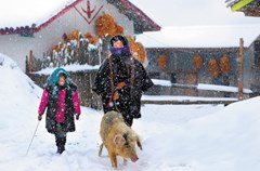 冬日里，冶勒彝家村寨的屋顶上、地上都是厚厚的积雪，阳光照在篱笆上投射在积雪上的阴影、赶着羊群在雪地里行走的彝人以及远处的雪山，都让这里看上去是如此的宁静。也许，这就是我们要寻找的雪乡——大凉山的“雪乡”。