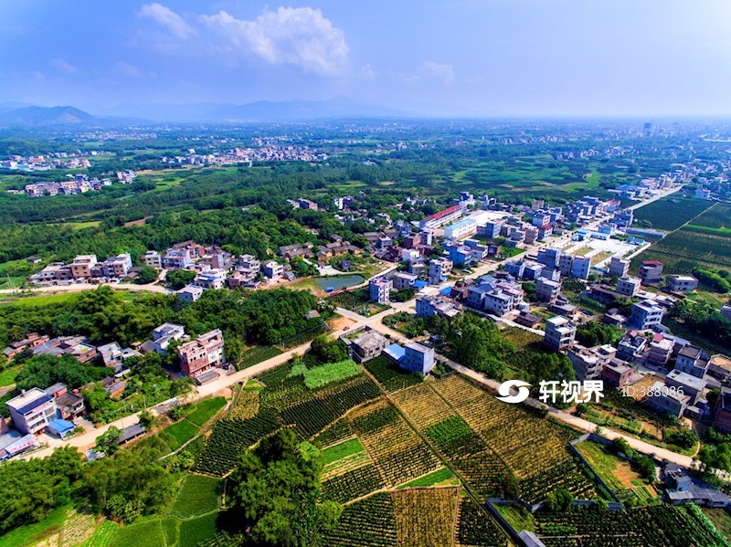 广西金田村全景