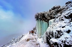 牛背山位于四川省雅安市荥经县境内，与泸定县交界，属二郎山分支，是青衣江、大渡河的分水岭，山顶海拔3600米，因山顶一面悬崖有巨石突出酷似牛头，山脊细长貌似牛背而得名。