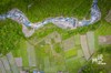 【天府旅游名县创建】松潘县小河镇高原生态蓝莓