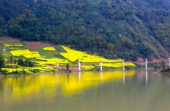 在灾后重建中，雅安市优先恢复交通、水利、能源、通信等基础设施功能，加快改善基础设施条件，强化保障能力，提升安全可靠性，为灾区经济社会发展提供有力支撑。