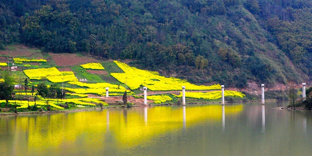 雅安：基础设施重建强化保障能力