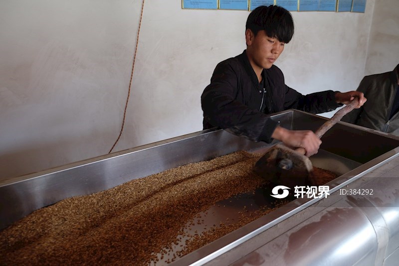 仁果乡村民正在操作青稞炒制机 图片 | 轩视界