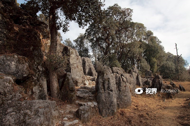四川攀枝花格萨拉绿石林 图片