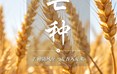 二十四节气：芒种