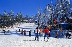 地处我国西南的四川峨眉山、西岭雪山、毕棚沟等地，冬日里不仅有着雄奇的冰雪美景，更建有供人们体验滑雪、溜冰等冰雪娱乐的滑雪场。这些滑雪场雪质优良，坡度平缓，是绝佳的滑雪胜地。