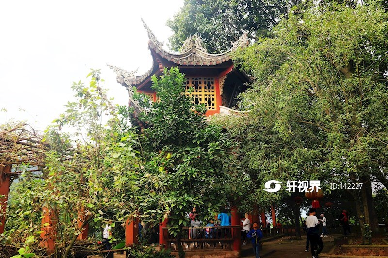 夹江千佛岩 图片 | 轩视界
