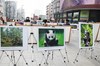 “欧洲熊猫粉丝四川探亲之旅”主题摄影展在蓉开展