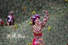在阿坝过“端午祭”——首届川西北嘉绒藏歌会在小金县拉开帷幕，朝山圣会明日即将精彩呈现