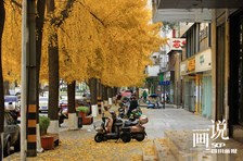 成都温江：大南街的银杏叶已是金黄