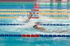 全国特奥会游泳项目决赛在成都高新区举行