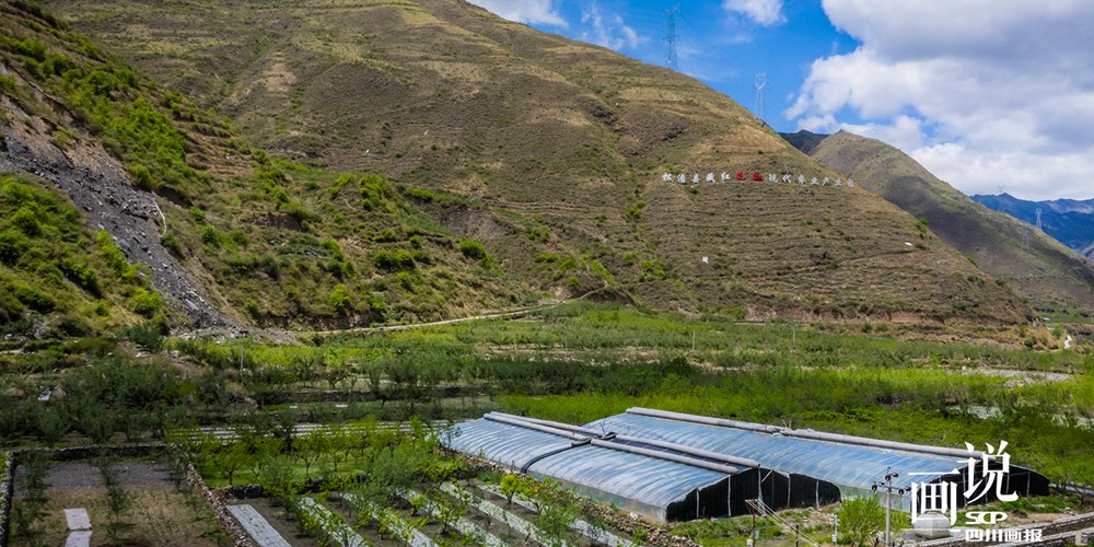 【天府旅游名县创建】松潘县藏红花椒现代农业产业