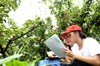 泸州纳溪：科技暑期送果林