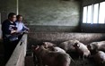 何尚奎和村党支部书记范泽云（右一）商量如何壮大村里的生猪养殖业